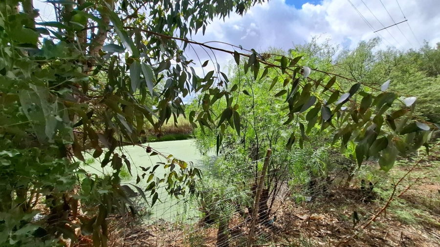 0 Bedroom Property for Sale in Heidelberg Western Cape